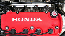 Load image into Gallery viewer, Honda D-Series Full Engine Dress Up Kit.

